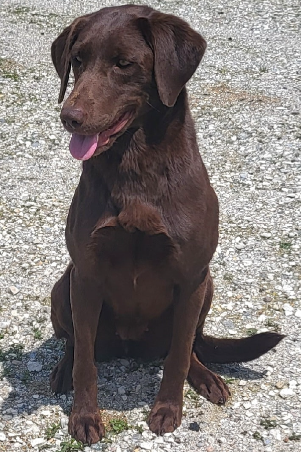 Revin sitting on rocks